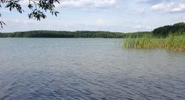 obrázek - Laguna OW