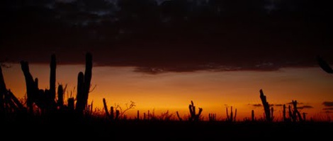 obrázek - El Pescadero