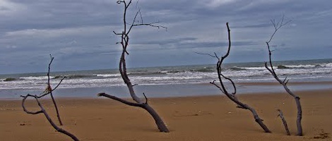 obrázek - North Coast