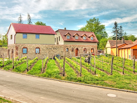 obrázek - Jižní Morava v rodinném vinařství se