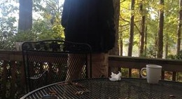 obrázek - Lake House