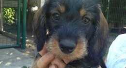 obrázek - Uferweg Templin