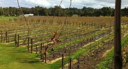 obrázek - Capel Vale Winery