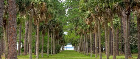 obrázek - Oak Grove