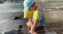 obrázek - Praia Ribeira Brava