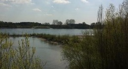 obrázek - Rhine riverside
