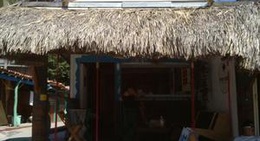 obrázek - Palma Negra