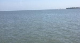 obrázek - Black Dog Bar