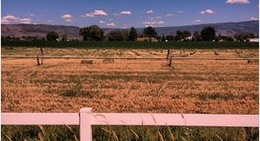 obrázek - City of Midway