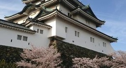 obrázek - Wakayama Castle (和歌山城)
