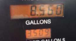 obrázek - Flash Foods