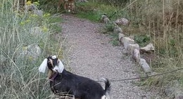 obrázek - Harvest Grill & Greens At James Ranch