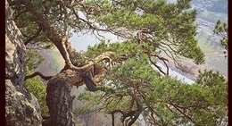 obrázek - Schwedenlöcher