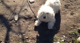 obrázek - Söğütlü Köyü Çayiçi Mahallesi