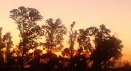 obrázek - parque francisco tau