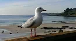 obrázek - Tidal Whispers Beach House