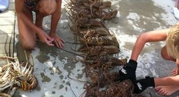 obrázek - Summerland Key