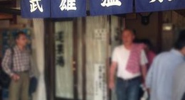 obrázek - 武雄温泉 元湯