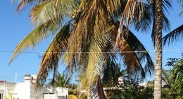 obrázek - Restaurante "Brisa y Arena"