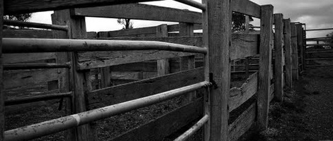 obrázek - Berridale