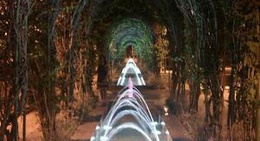 obrázek - Parque Hernández