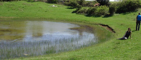 obrázek - Koromačno