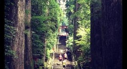 obrázek - 箱根神社