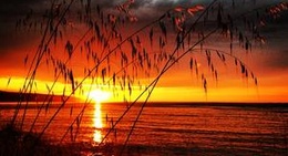 obrázek - Arsin Sahili