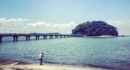 obrázek - 竹島海岸