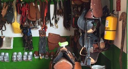 obrázek - Agro Colanta