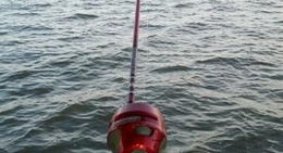 obrázek - Gun Barrel City