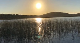 obrázek - cudgen nature reserve