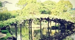 obrázek - 天赦園