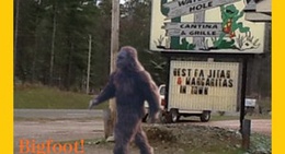 obrázek - Watering Hole