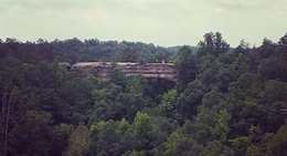 obrázek - Red River Gorge Natural State Park Resort Camp Ground