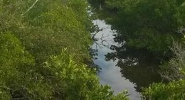 obrázek - Pelican Island Wildlife Refuge