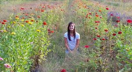 obrázek - Crow Farm