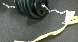 obrázek - Snap Fitness Palm Harbor