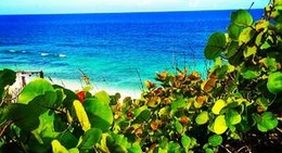 obrázek - Surfer's Beach