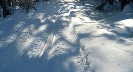 obrázek - Golf Oasis