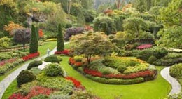 obrázek - Vivaio Piante Nari Franca