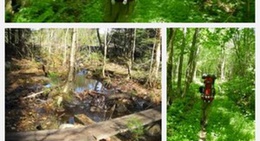 obrázek - Stratton Mountain Trailhead