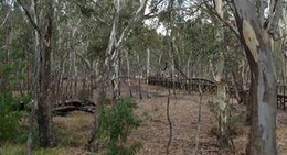 obrázek - Nhill Swamp Wildlife Reserve