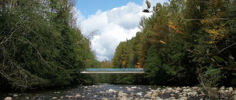 obrázek - Port Coquitlam