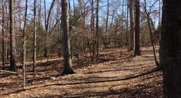 obrázek - Robinson Point