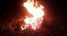 obrázek - Big Savannah