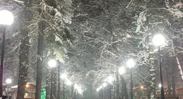 obrázek - Düzce Kent Parkı