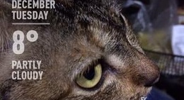 obrázek - Chiang Rai | เชียงราย