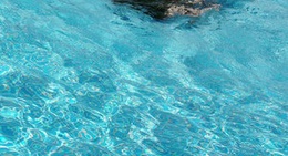 obrázek - la piscina