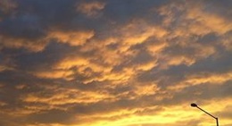 obrázek - Beach Houses @ Safety Beach